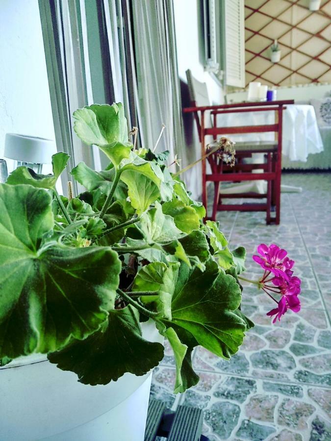 Polymnia'S Apartment Μάταλα Εξωτερικό φωτογραφία